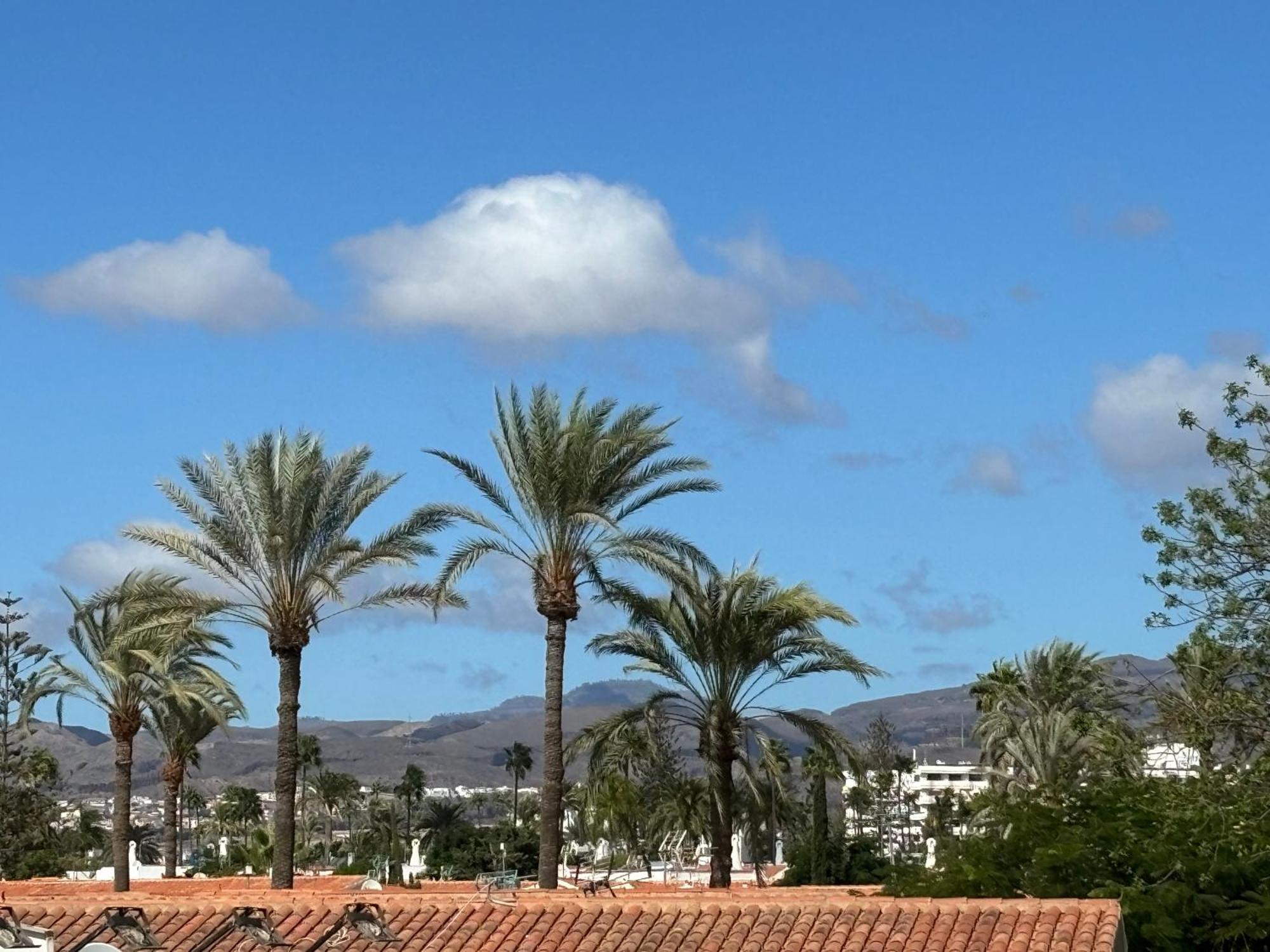 Loris Home Playa Ingles 50Mt From Yumbo By Luca Properties Gran Canaria San Bartolome de Tirajana  Exterior photo